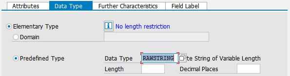 Data Element with RAWSTRING